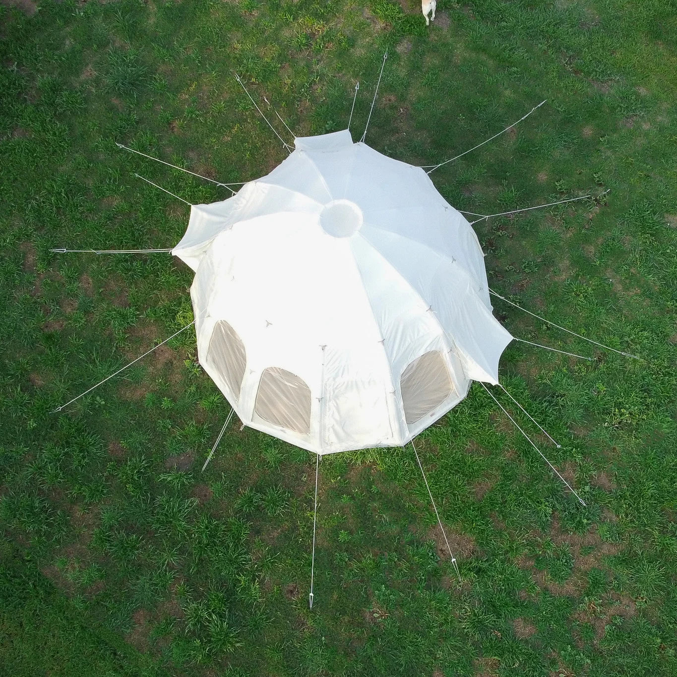 Geodesic dome tent on grass