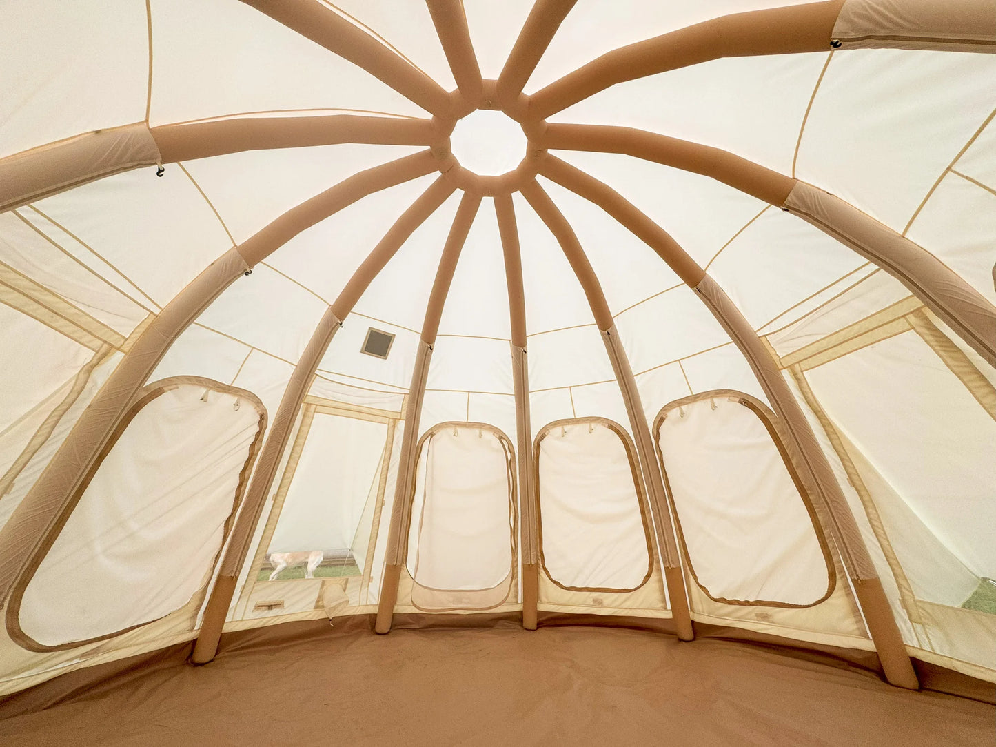 Dome-shaped tent interior