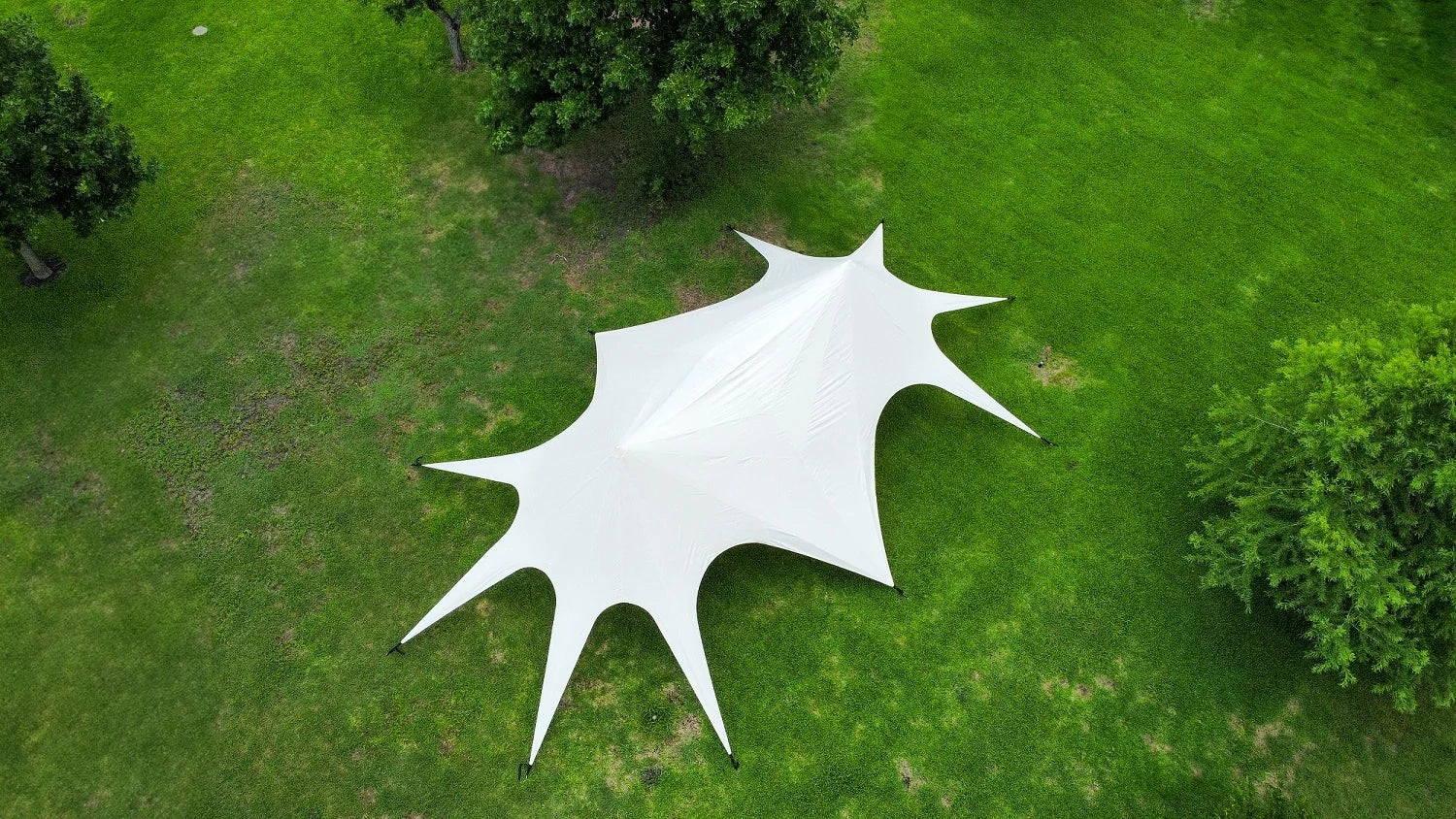 White star-shaped canopy on a grassy field with trees in the background