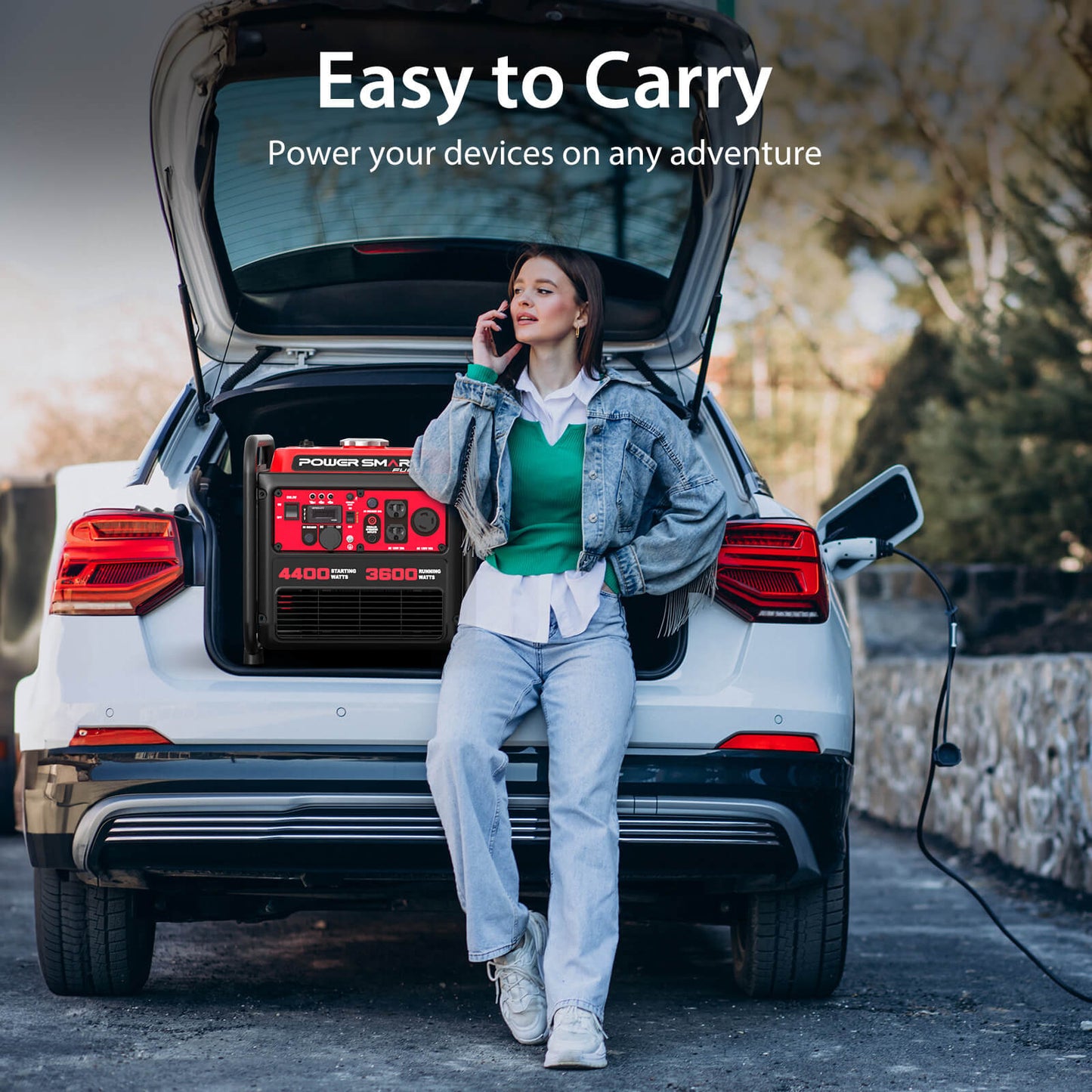 4400W Open Frame Gas Inverter Generator DL5040