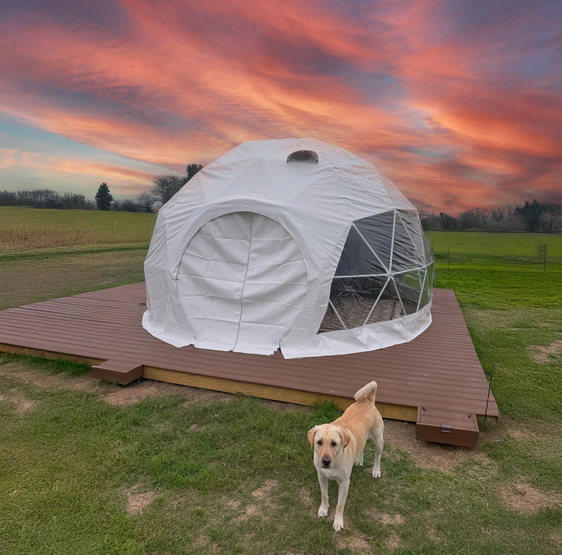 Geodesic dome tent with a dog in a field at sunset