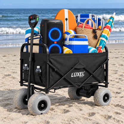LUXEL 500W electric beach wagon on the beach