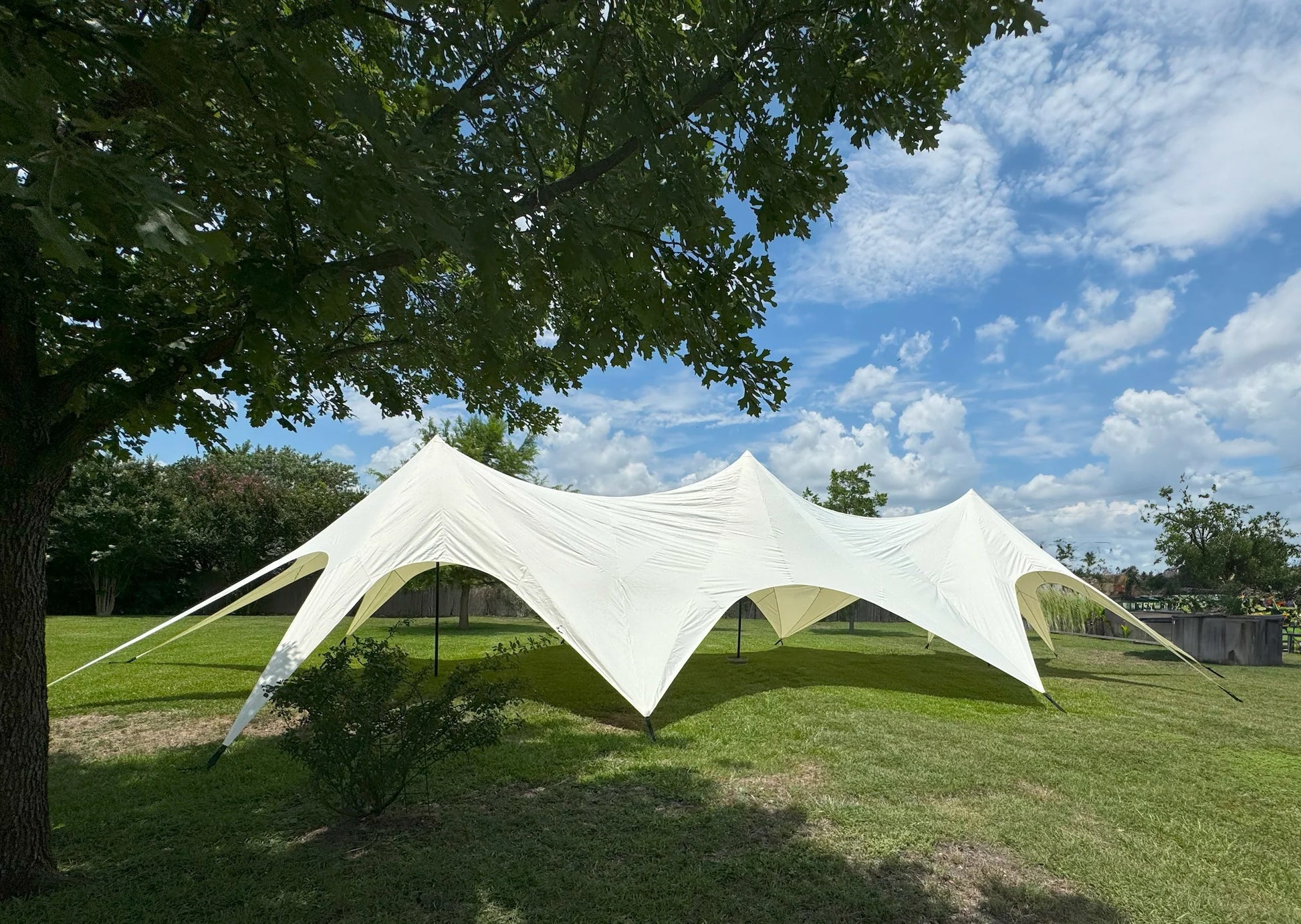 White star-shaped tent set up outdoors on a grassy area with trees and blue sky.
