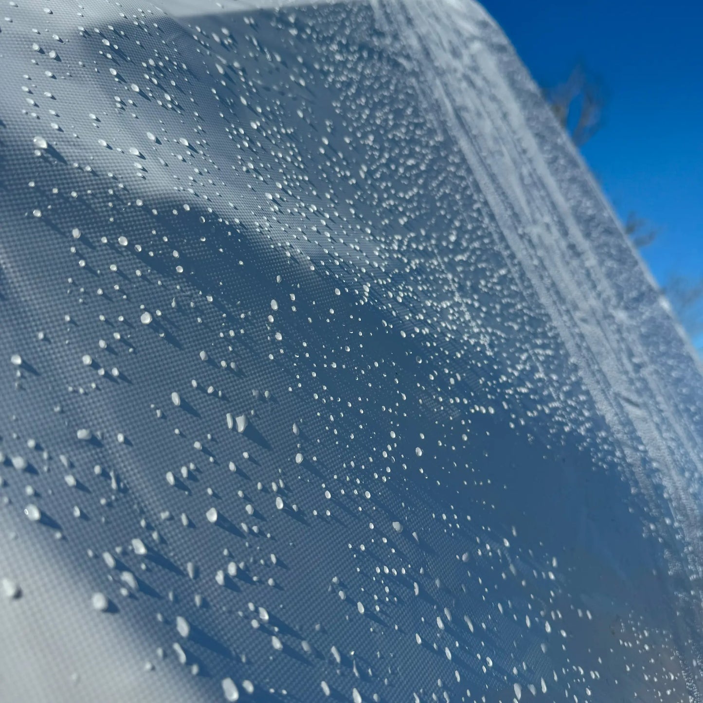 Water on Wild Dome Exterior