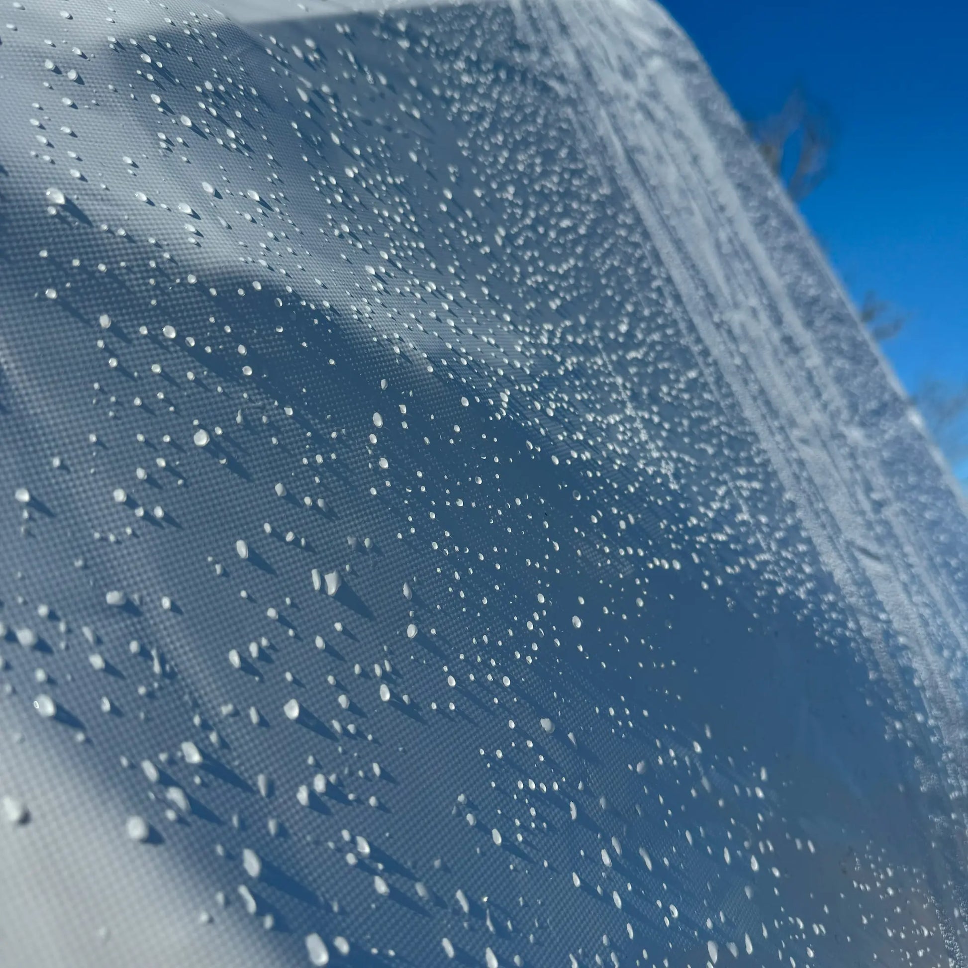 Water on Wild Dome Exterior