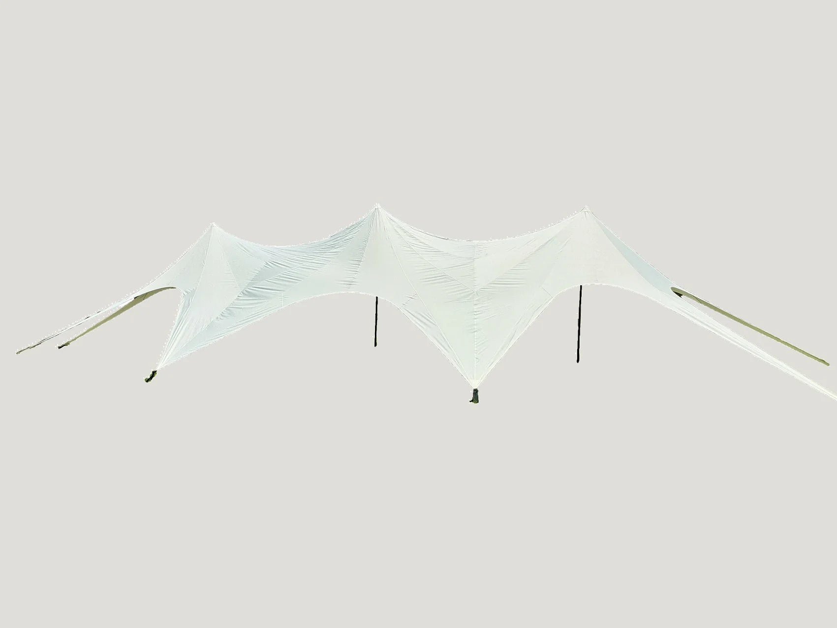 Massive Star Cluster Canopy on a white background