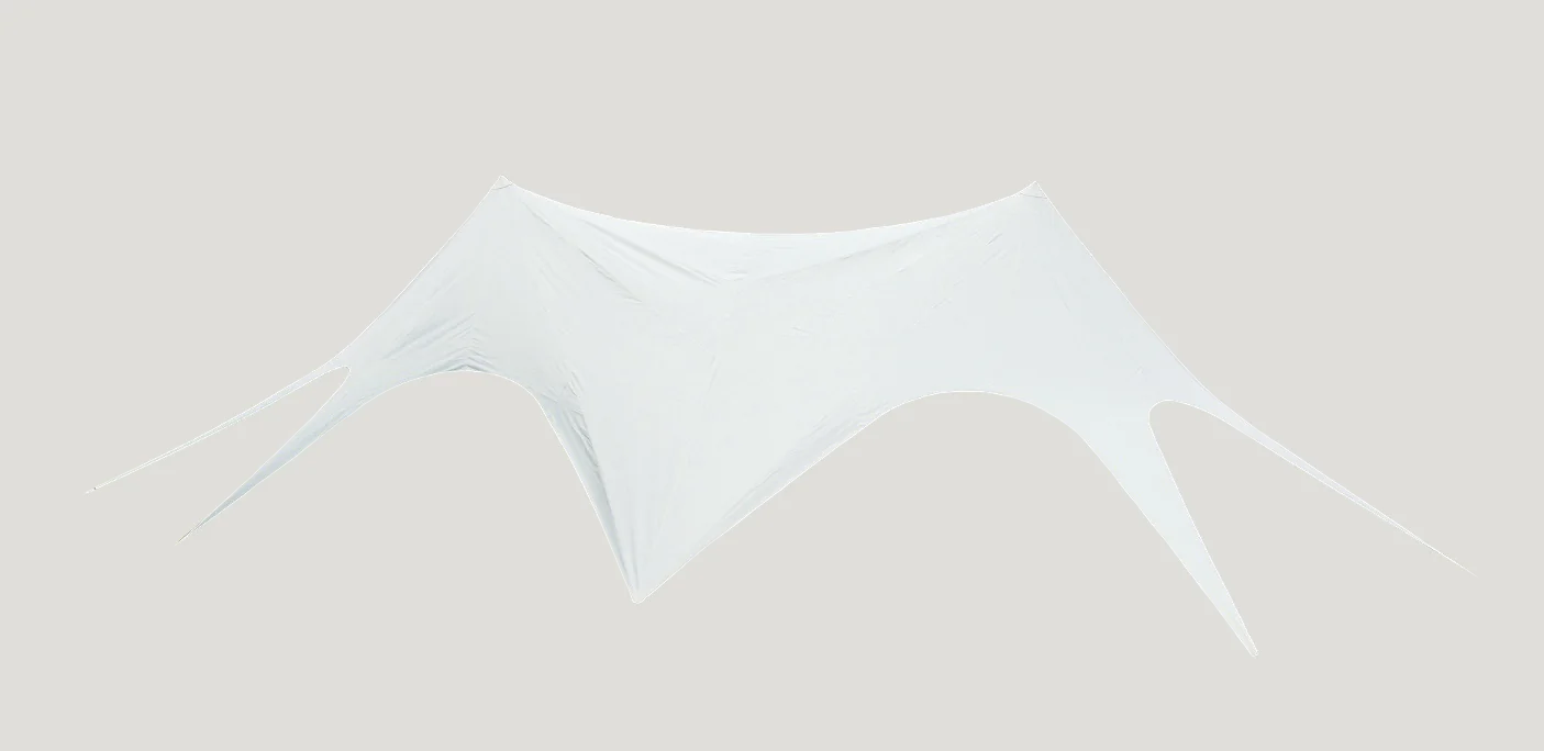 Twin Star Canopy On website background
