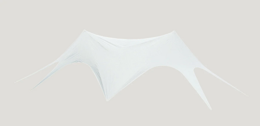 Twin Star Canopy On website background